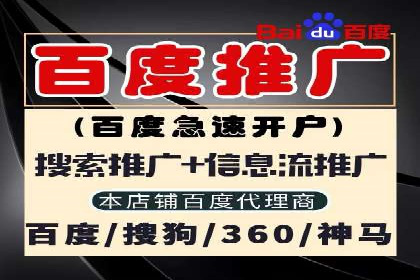 知名SEM公司案例分析：优化策略与成果